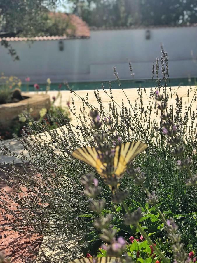 Holiday Home Chichichi Sibenik Exterior photo